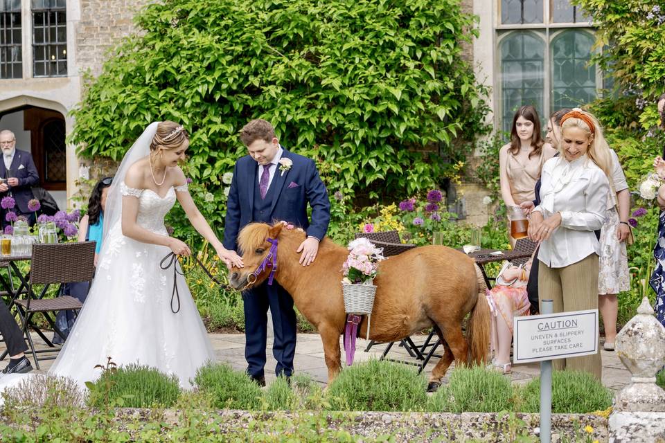 Confetti pony - Hengrave Hall