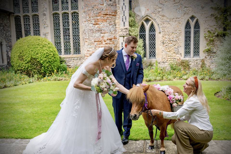 Confetti pony - Hengrave Hall