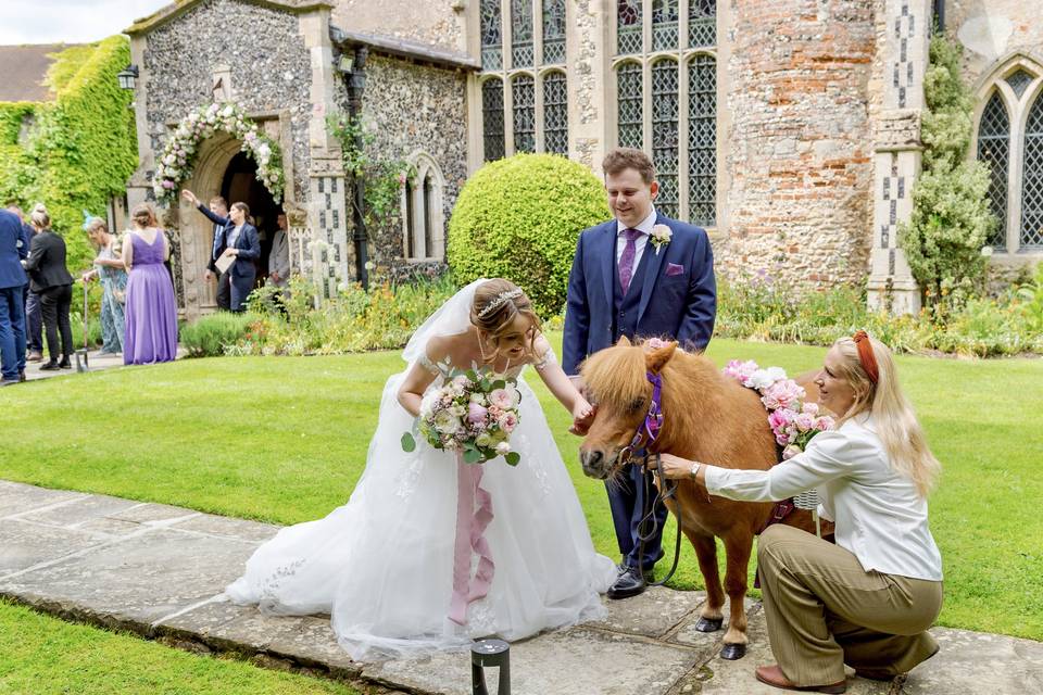 Confetti pony - Hengrave Hall