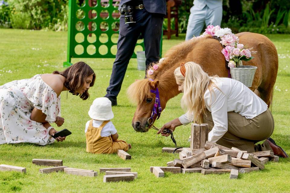 Confetti pony - Hengrave Hall