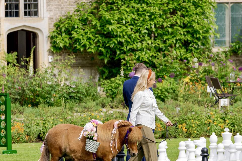 Confetti pony - Hengrave Hall