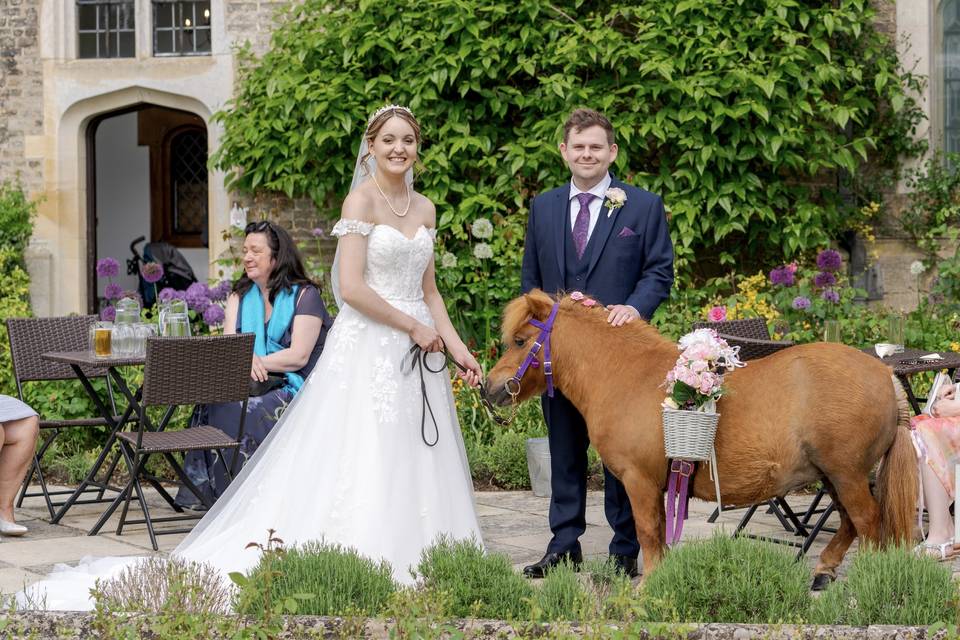 Confetti pony - Hengrave Hall