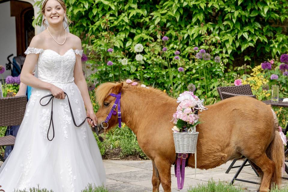 Confetti pony - Hengrave Hall