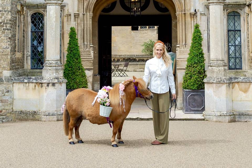 Confetti pony - Hengrave Hall