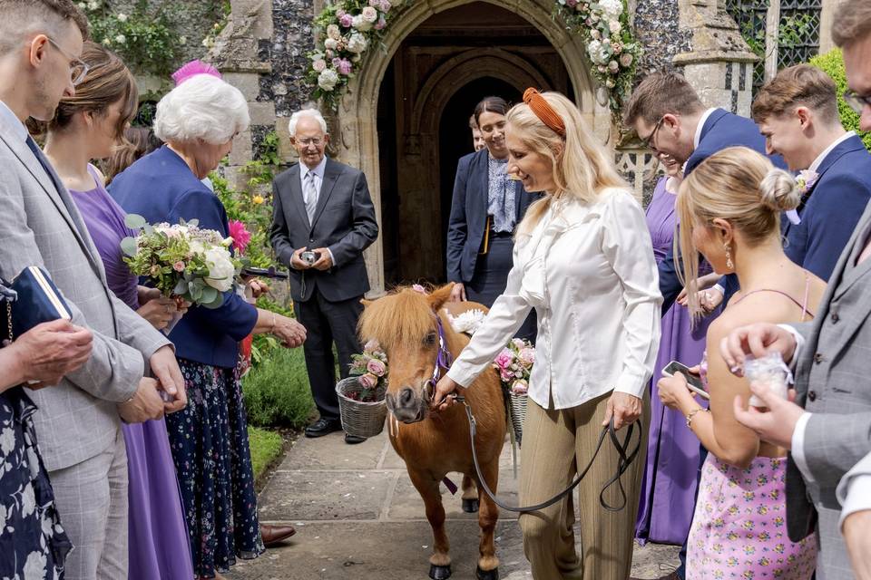 Confetti pony - Hengrave Hall