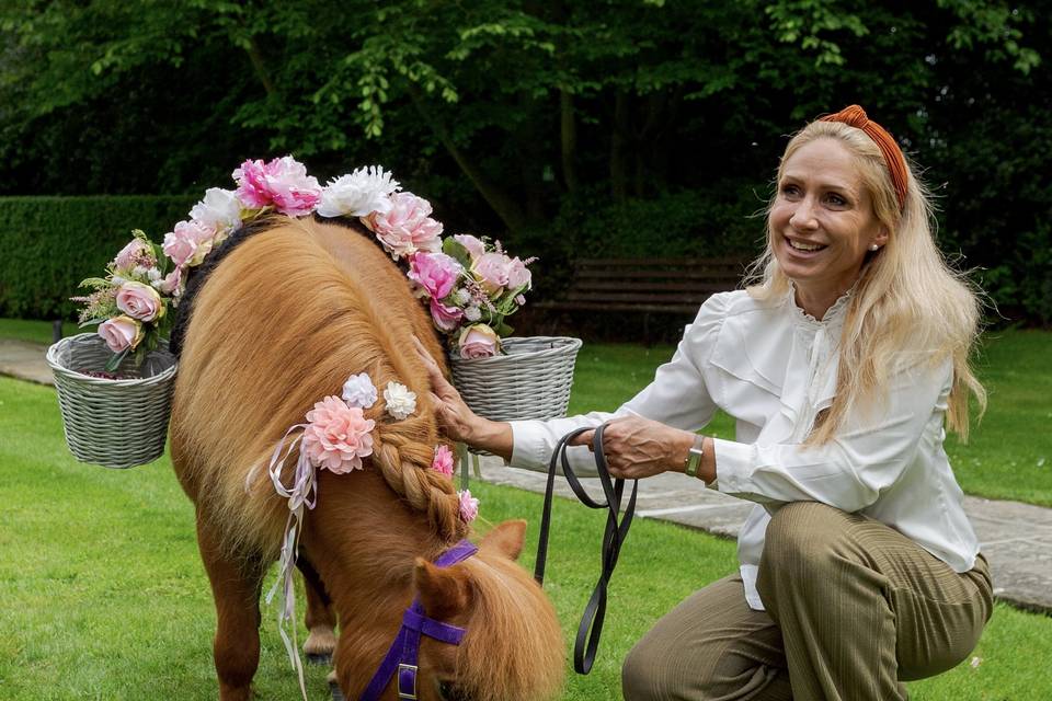 Confetti pony - Hengrave Hall