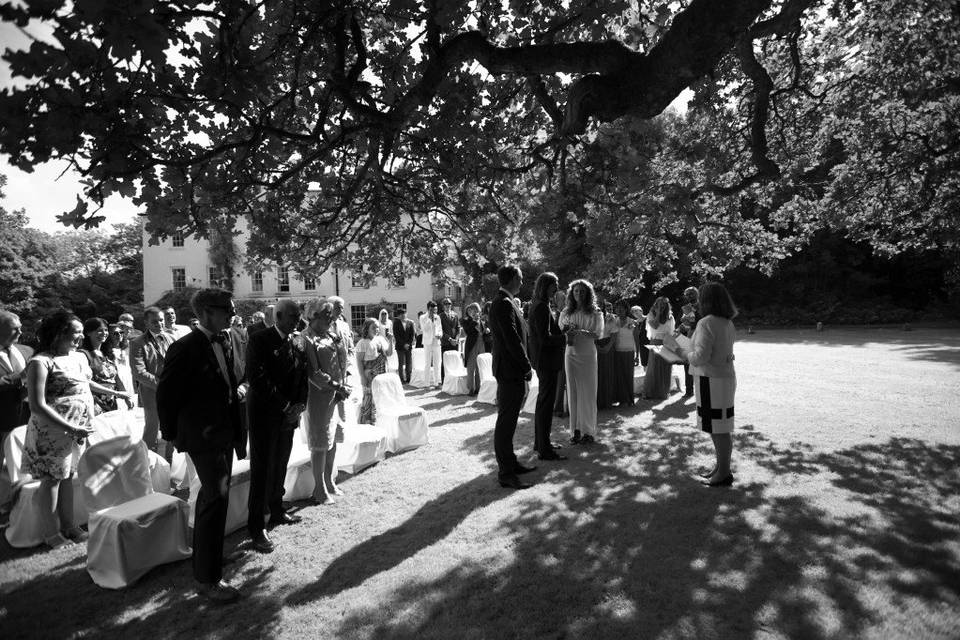 Wedding under the Oak Tree