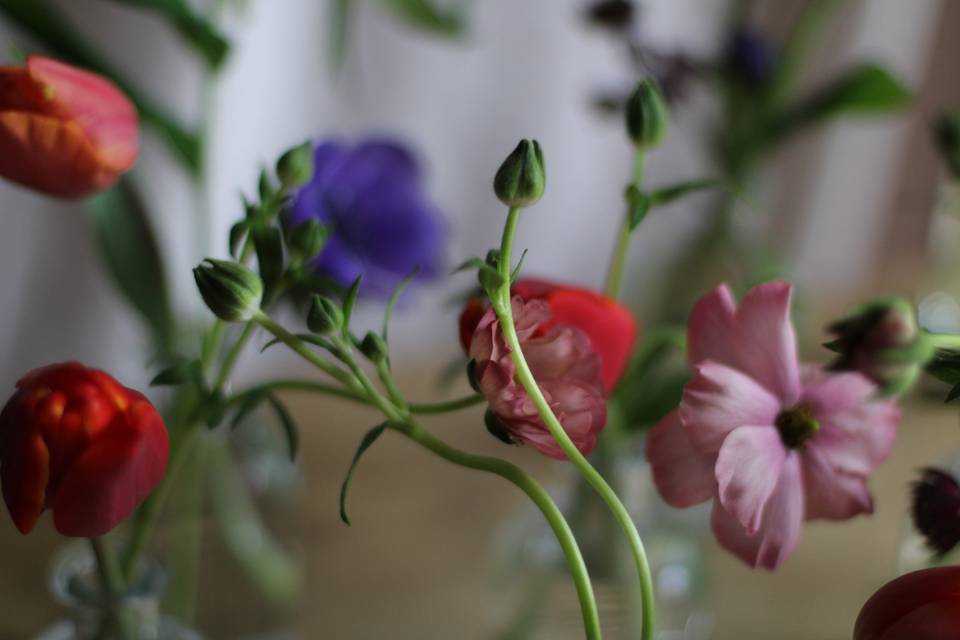 Bud vases