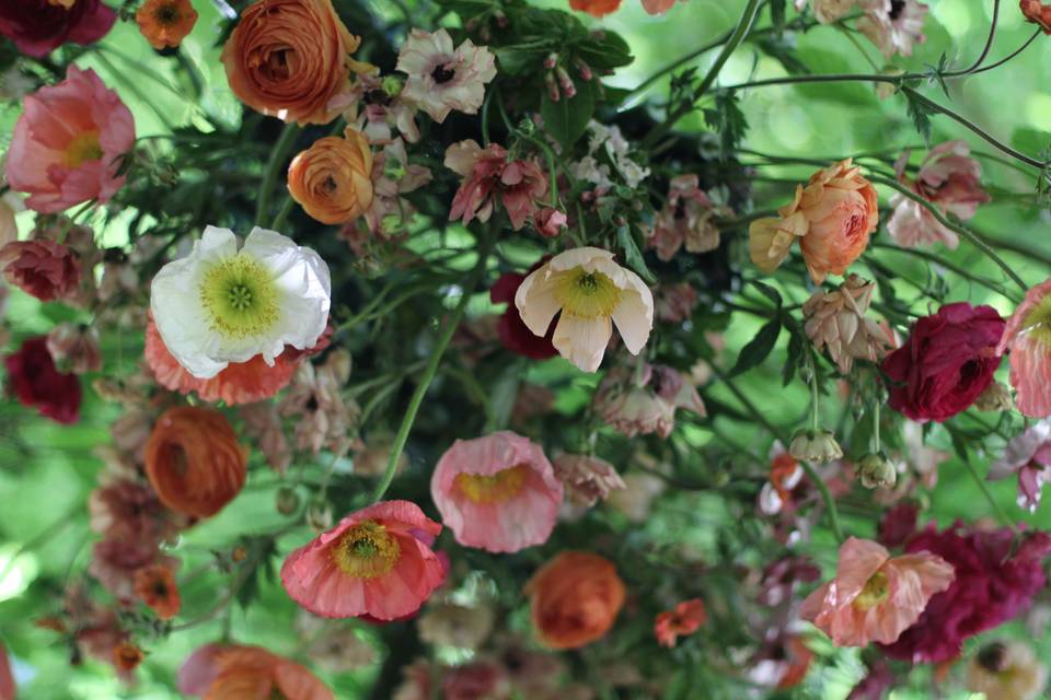 Florals