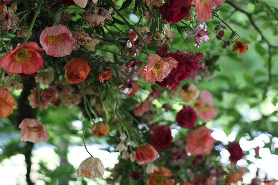Florals