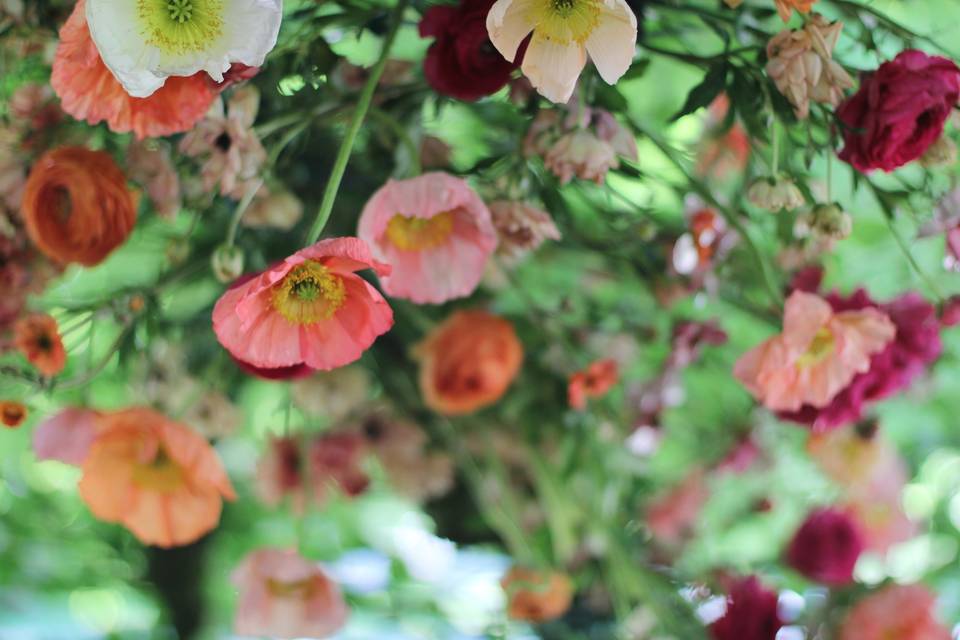 Florals