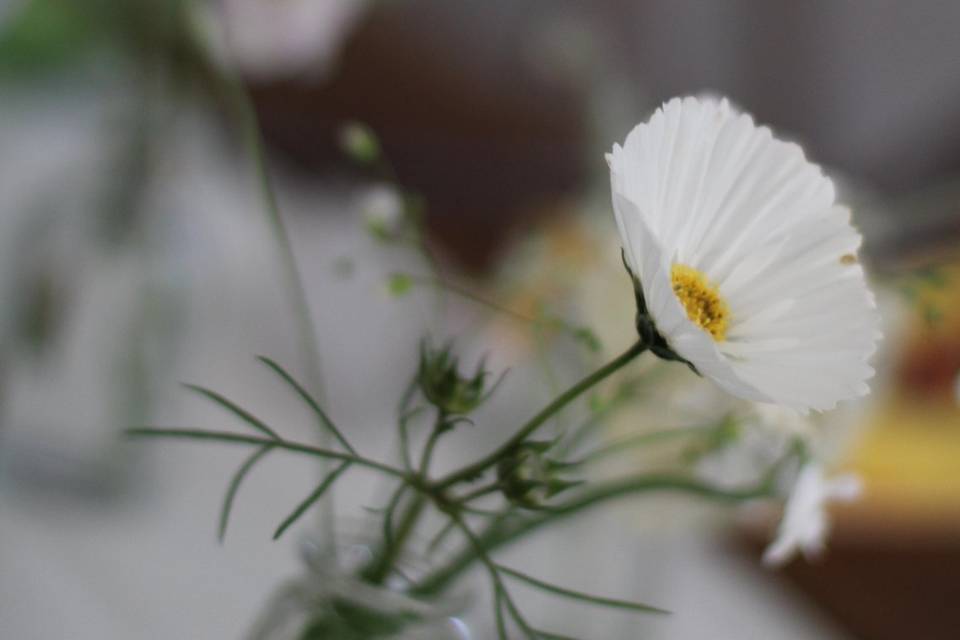 Bud vase