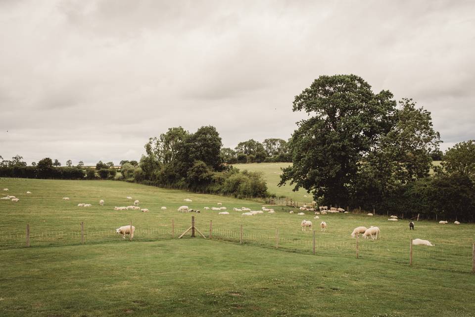 Slapton Manor