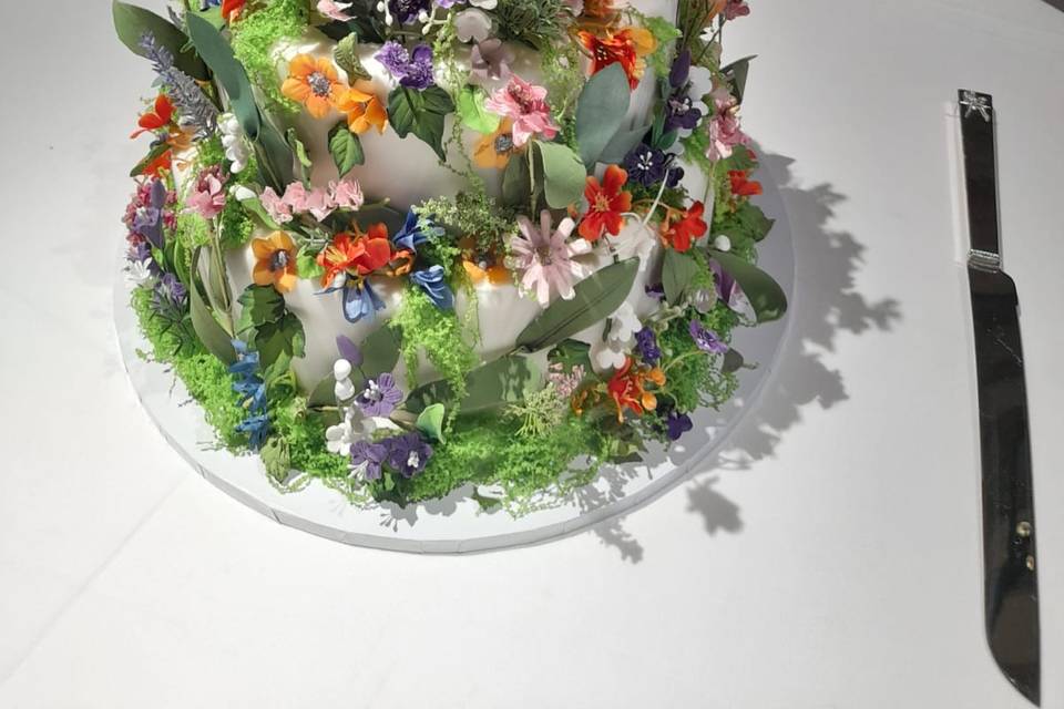 Stunning for B&C