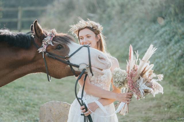 Colraine Capture