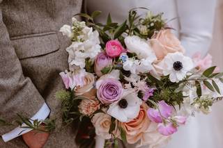 Petals and Foxtails