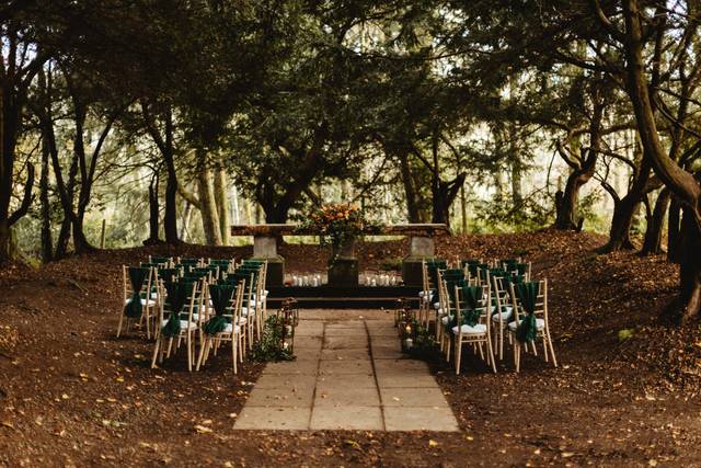 Liam and Bee Photography