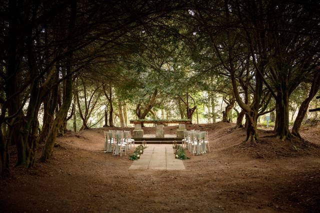 Brian Cassidy Photography