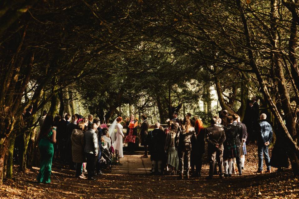 Liam and Bee Photography