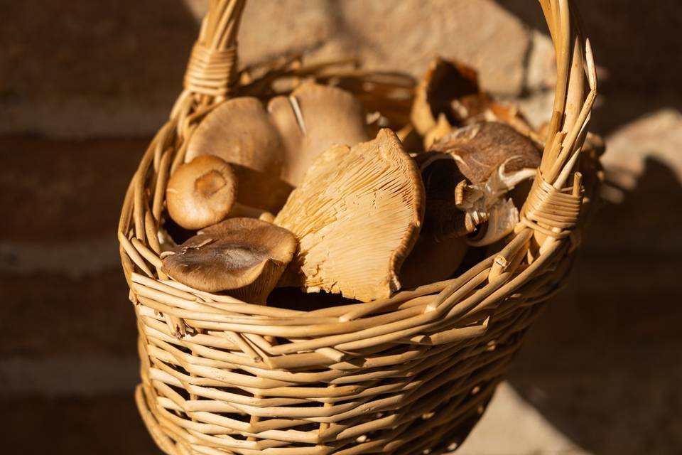 Osteria Boccabuto