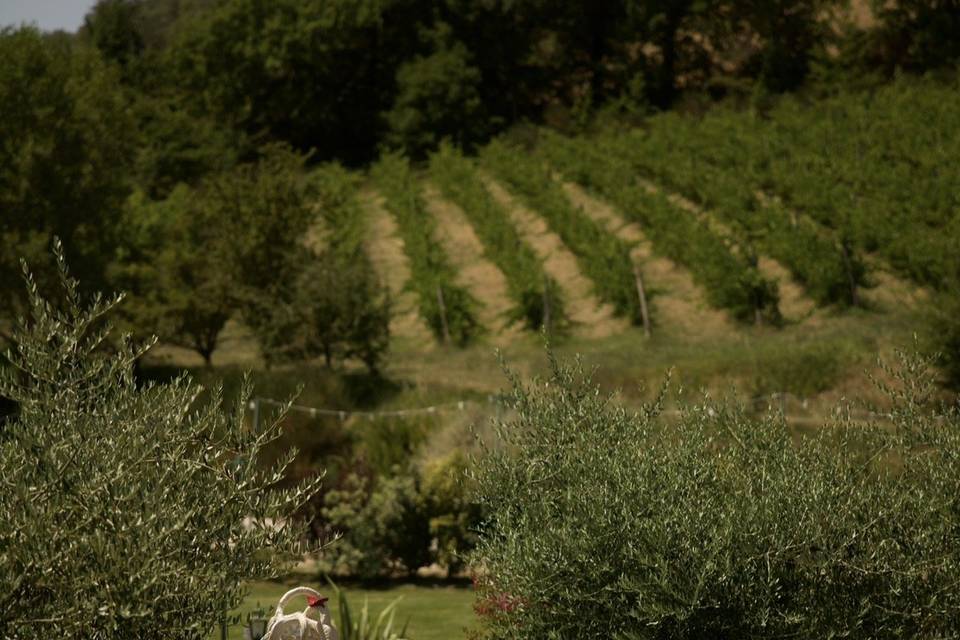 Osteria Boccabuto