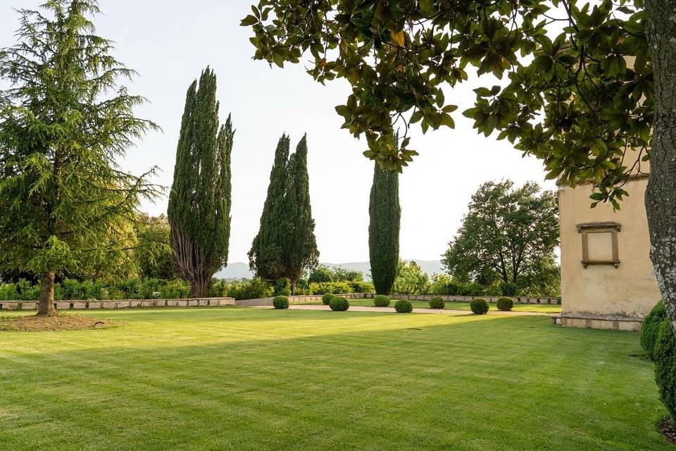 Lush greenery