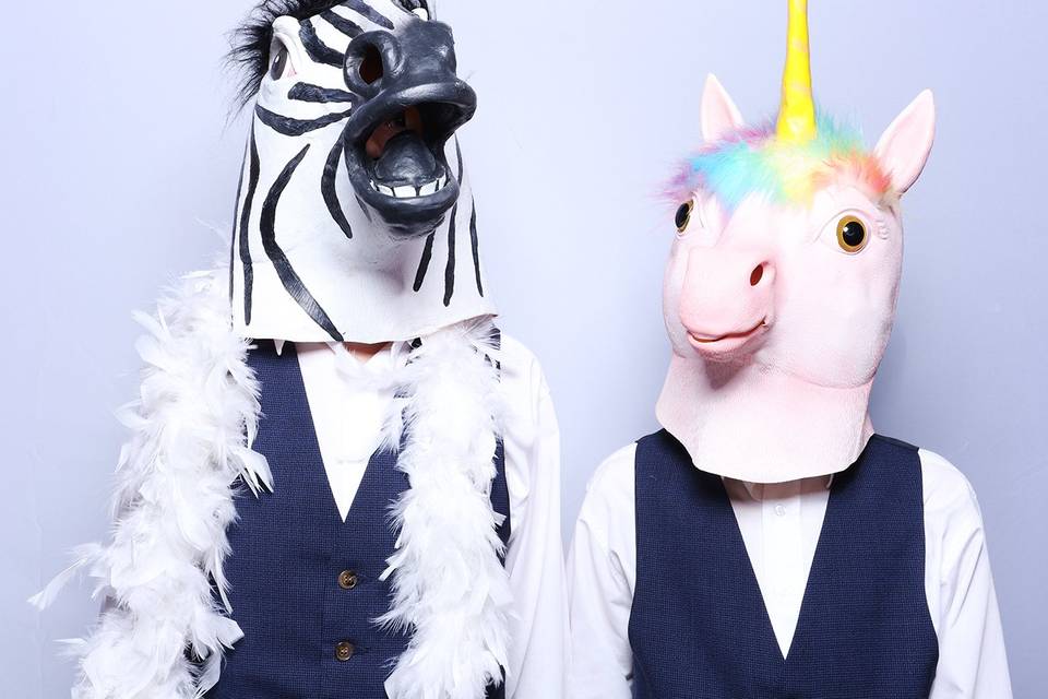 Zebra & Unicorn. Obviously!