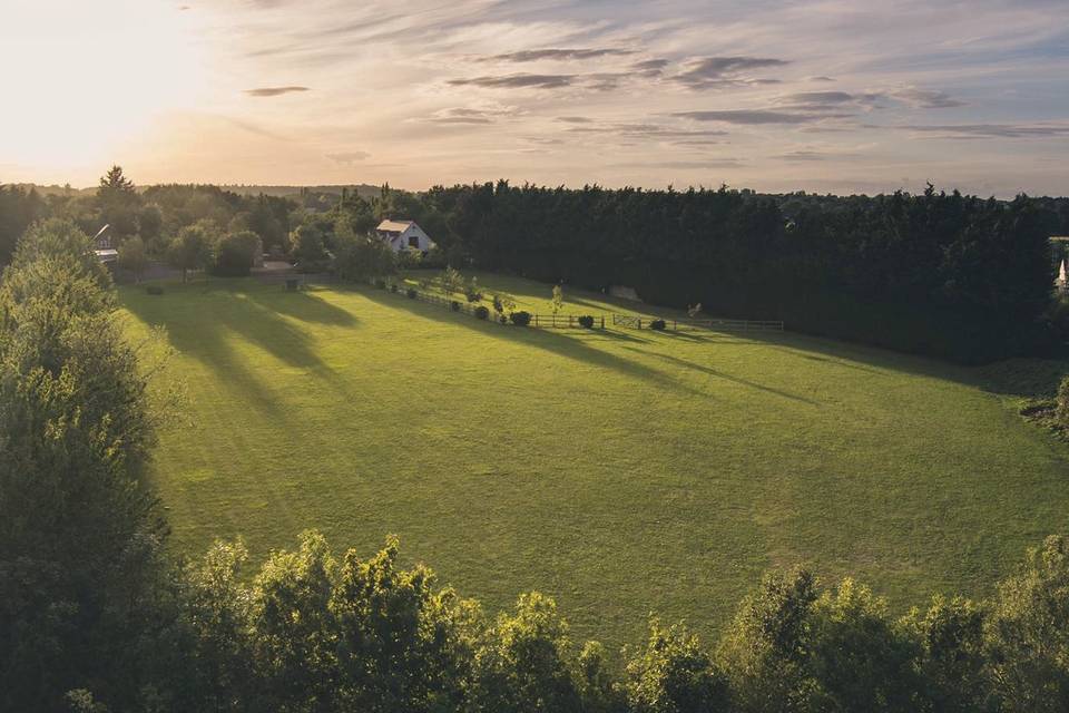 Mill Farm meadow