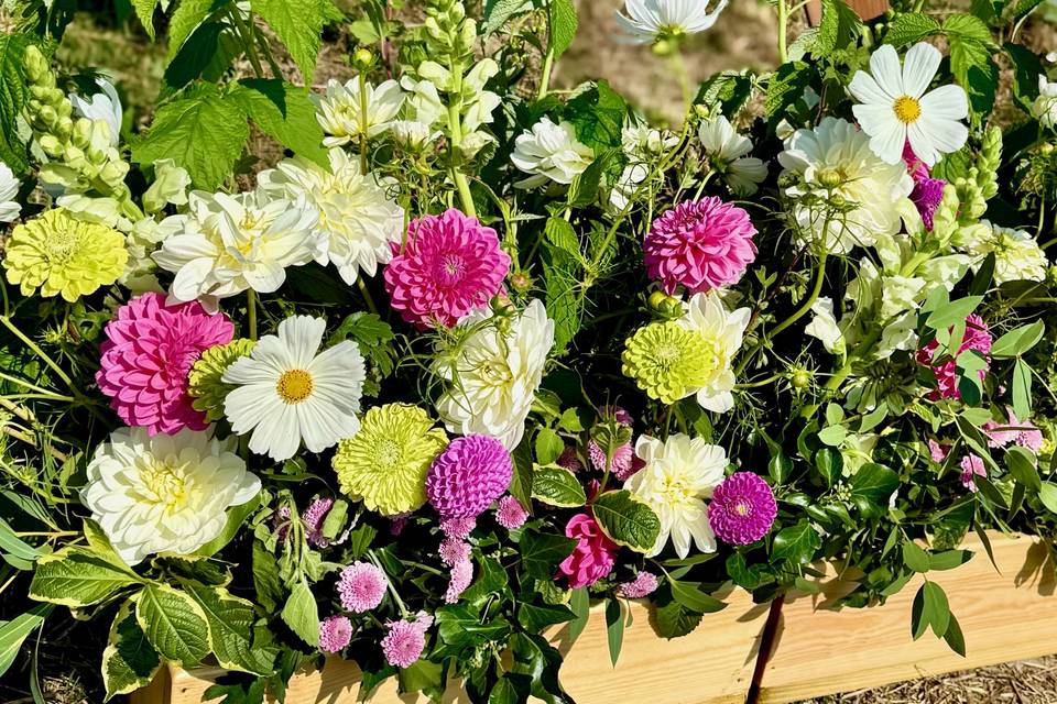 Meadow boxes