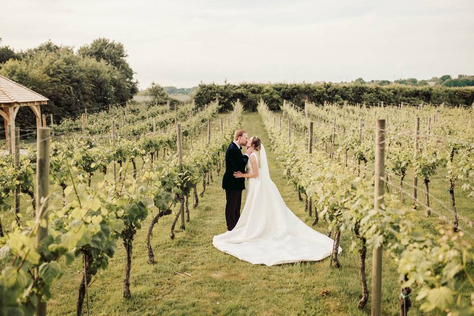 Vineyard