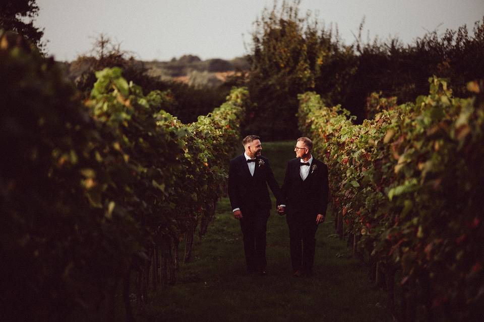 Two grooms in the vineyard