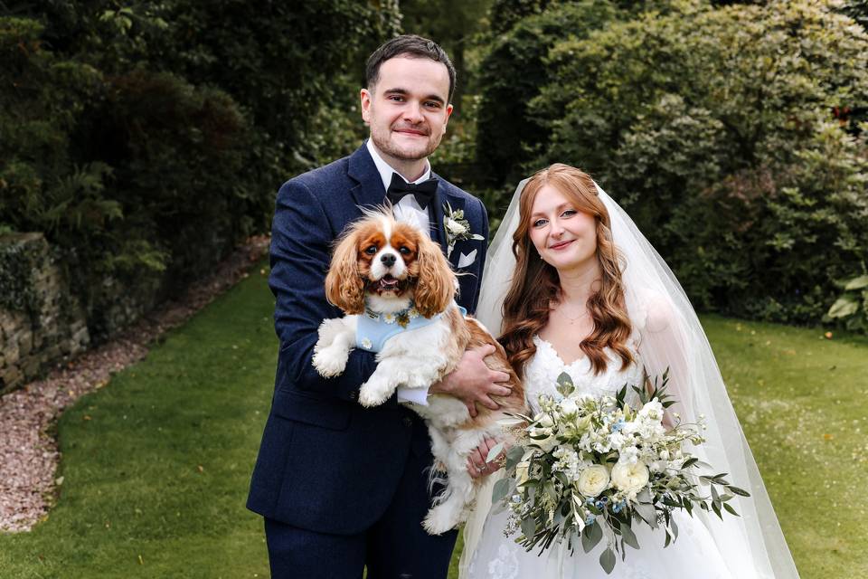 Dog Friendly Weddings