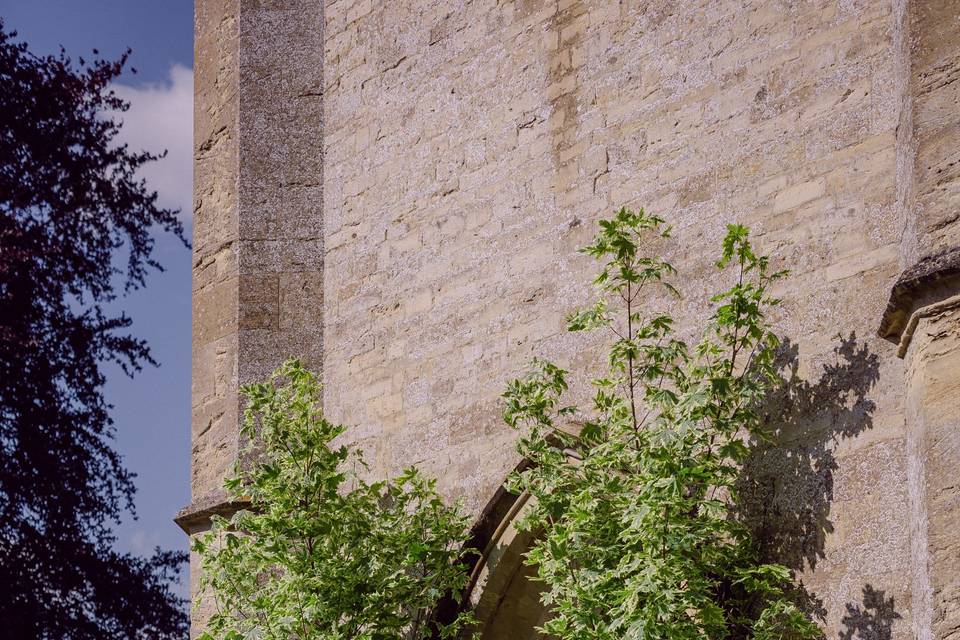 Tree's & Baskets