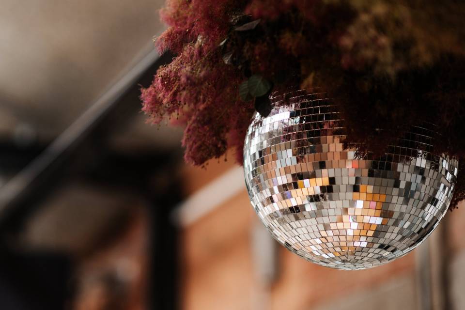 Smoke Bush & Disco Ball Cloud