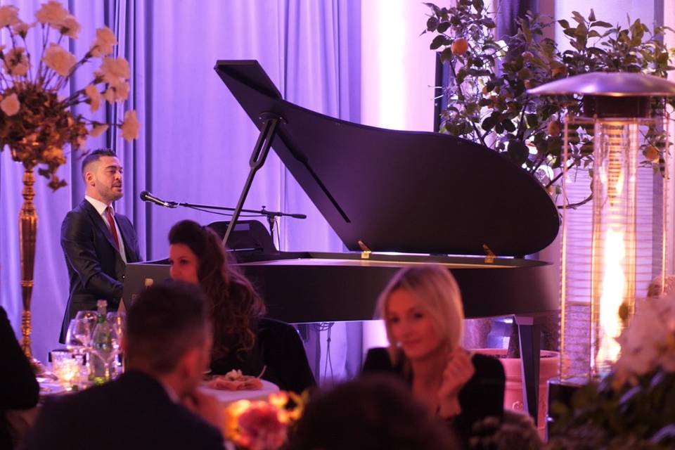 Pianist dinner show