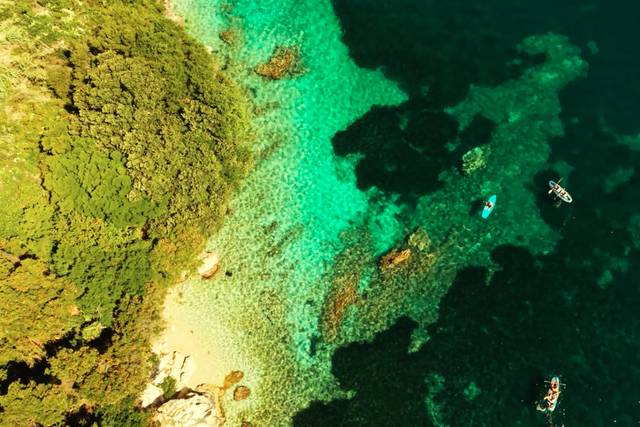 CORFU