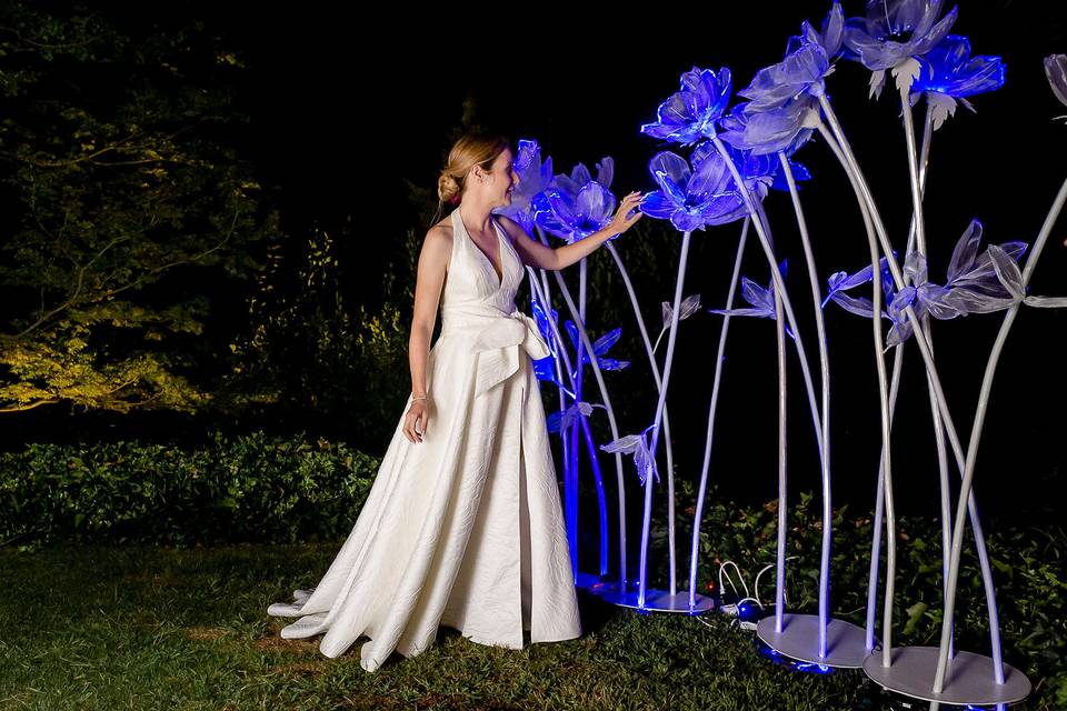 Elisabetta Zucchi Wedding & Party