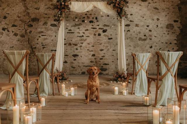 The best flower girl