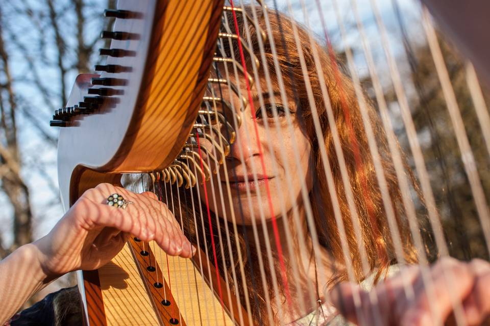 Sam MacAdam Harpist