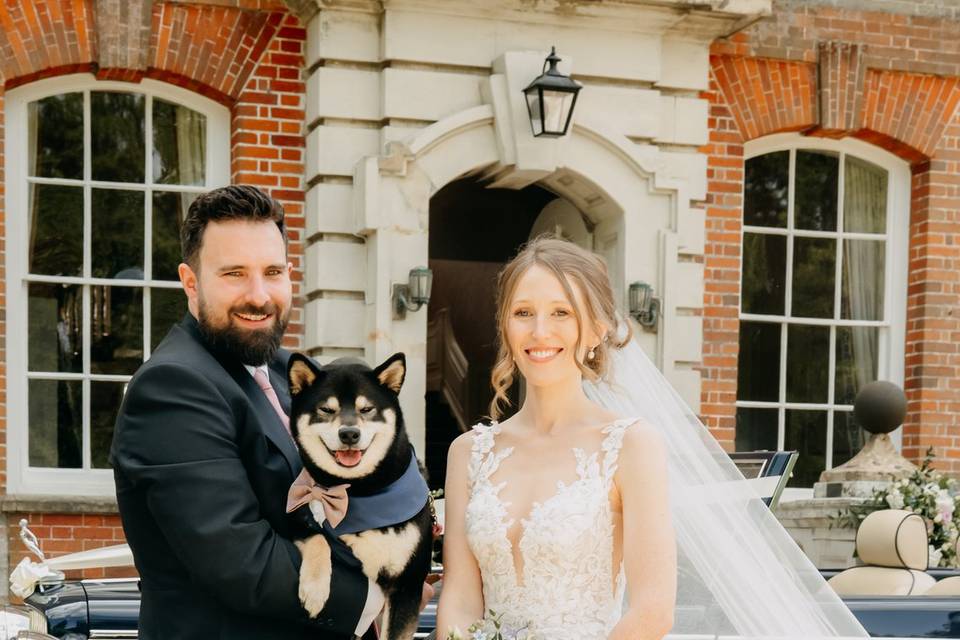 Dog friendly weddings