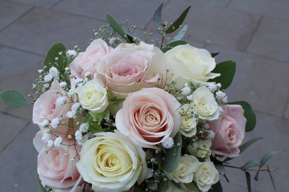 Blush & Ivory Roses