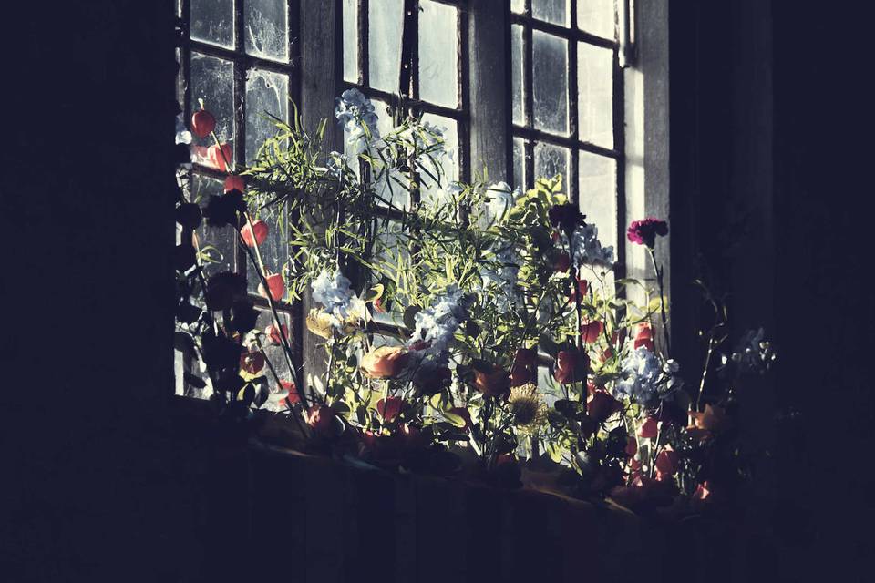 Flowers in the Windows