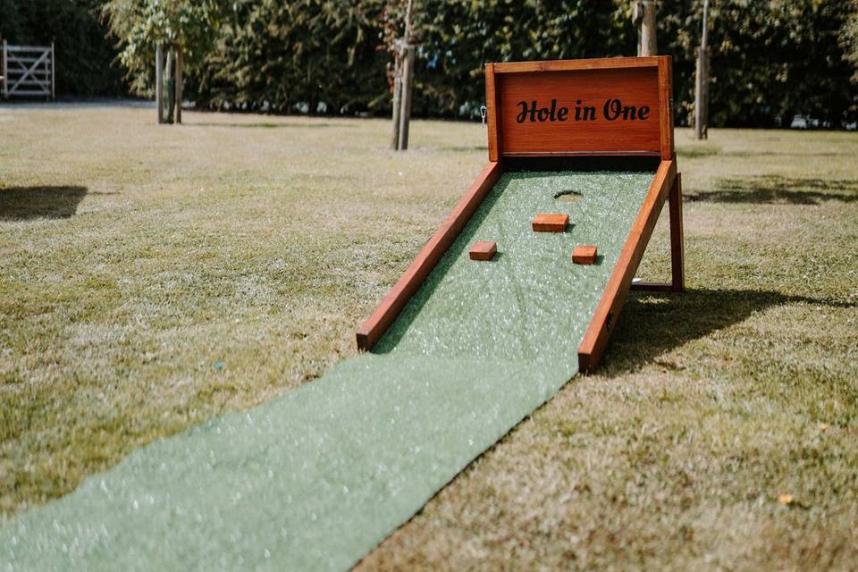 Hole in One