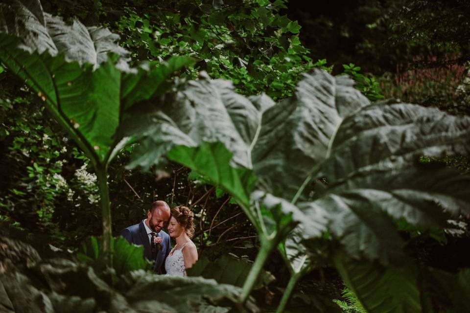 Through the leaves