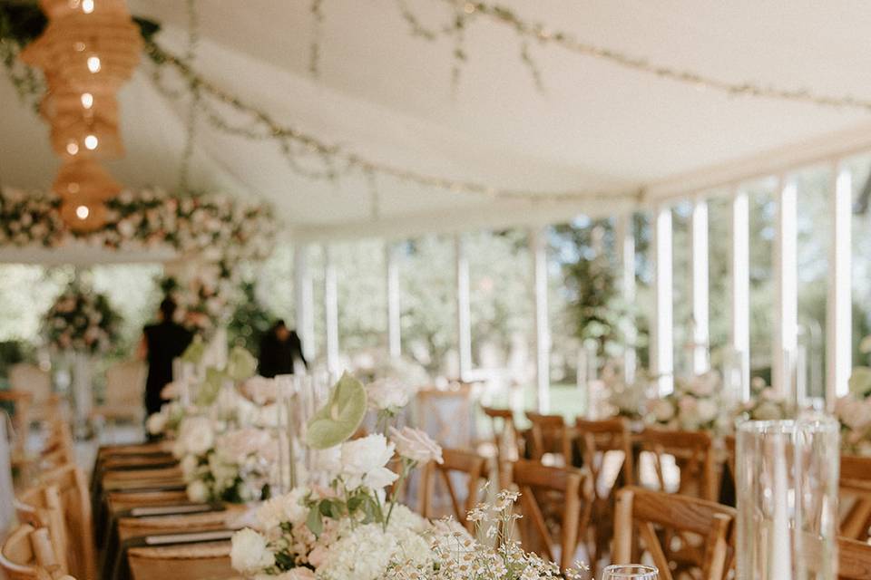 Jade Ligus Photography