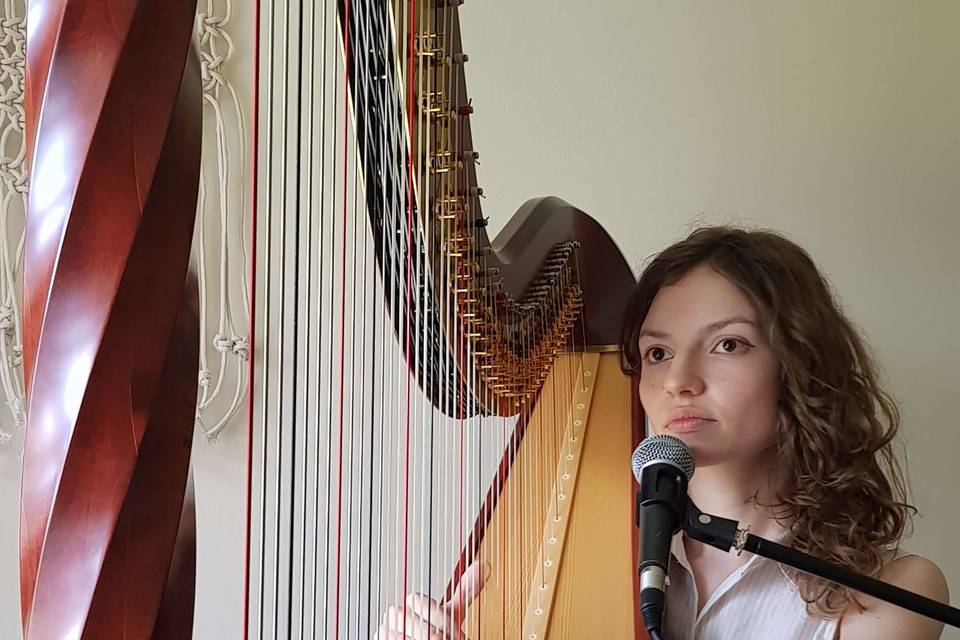 Becki Luff - Solo Harpist and Vocalist