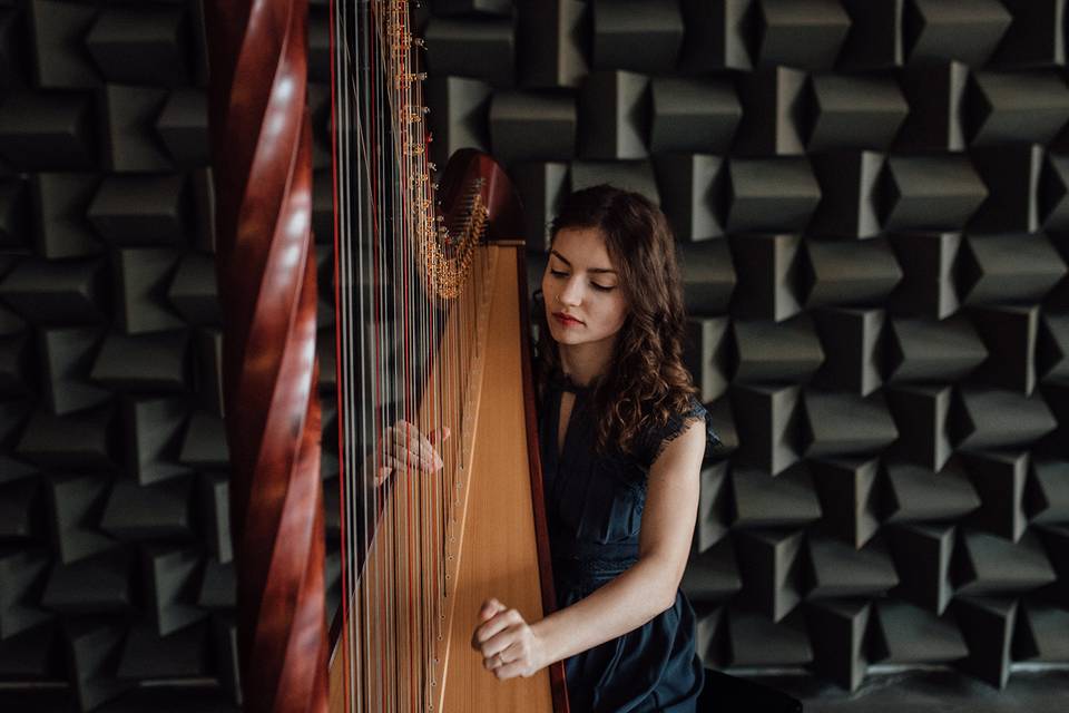 Becki Luff - Solo Harpist and Vocalist