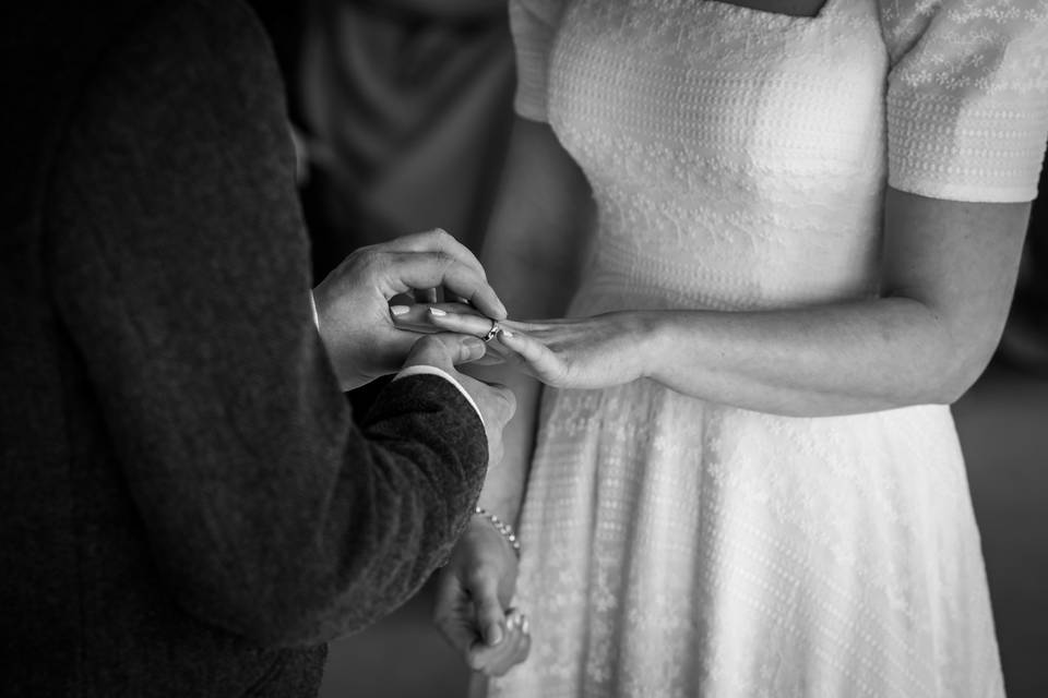 Jamie Ellis Photography