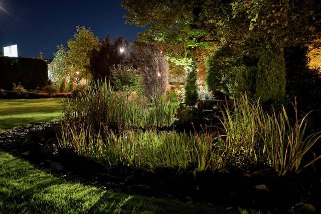Pond at Night