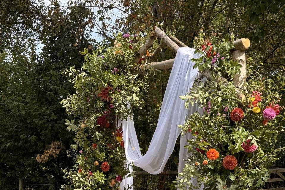 Bright arch